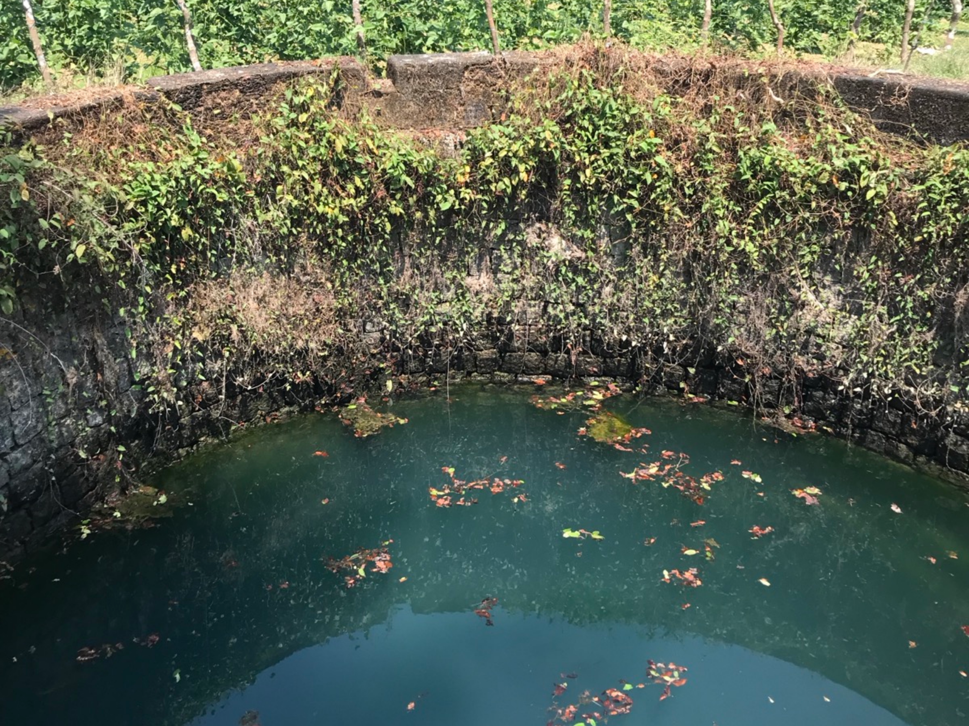 Hebri large well with stone steps